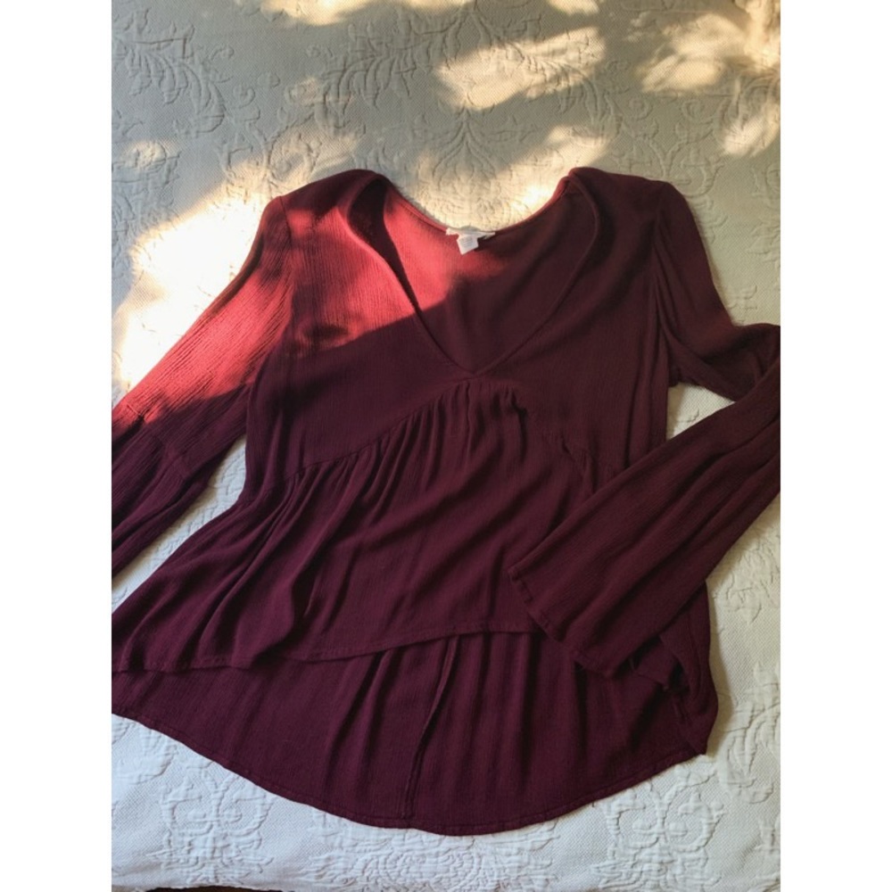 Flowy sleeved burgundy crop